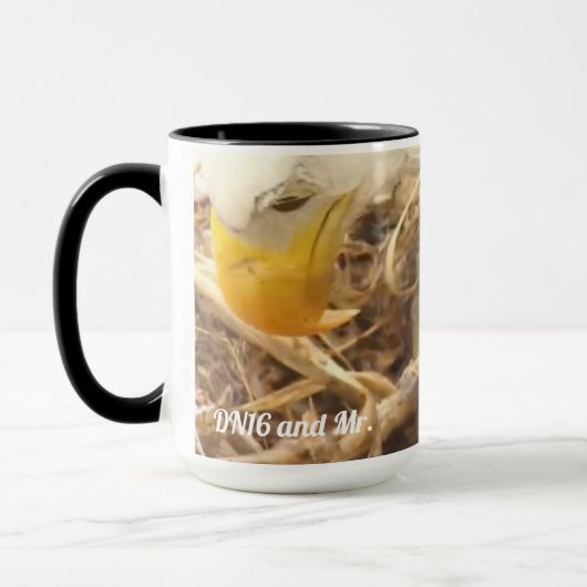 Die umarmte Tasse Decorah North Nest (Links)