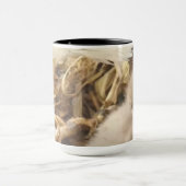 Die umarmte Tasse Decorah North Nest (Zentrum)