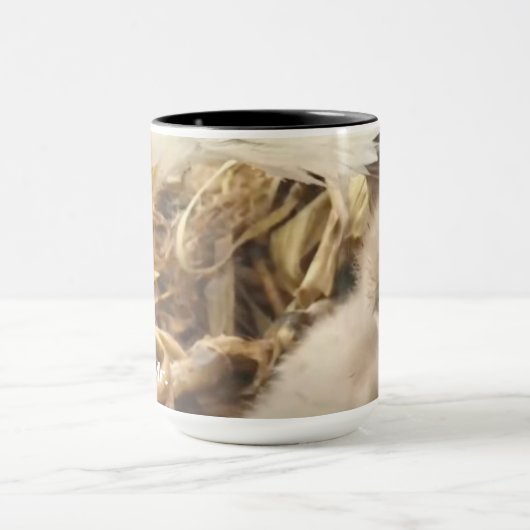 Die umarmte Tasse Decorah North Nest (Zentrum)