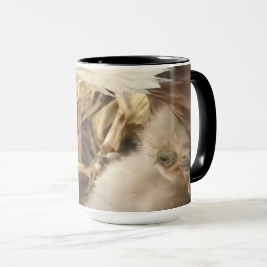 Die umarmte Tasse Decorah North Nest (VorderseiteRechts)