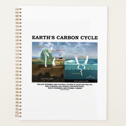 Die Umwelt der Erdkunde im Kohlenstoffkreislauf Planer (Vorderseite)