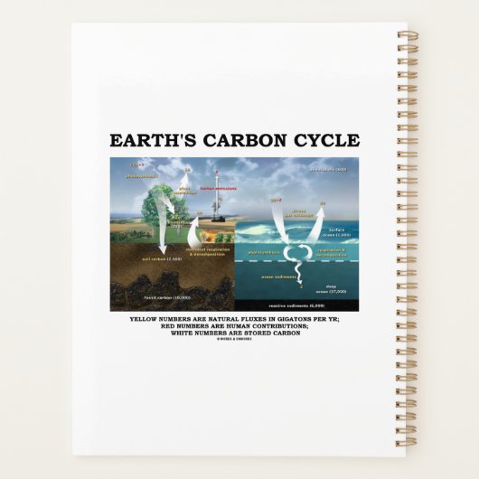 Die Umwelt der Erdkunde im Kohlenstoffkreislauf Planer (Rückseite)