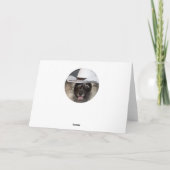 Die unbekannte Keeshond Komic Grußkarte Karte (Rückseite)