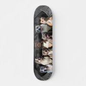 Die Unberührbarer - Pitbull Meister-Reihe Skateboard (Vorne)