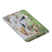 Die ungerade Ente Magnet (Rechte Seite)