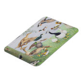 Die ungerade Ente Magnet (Linke Seite)