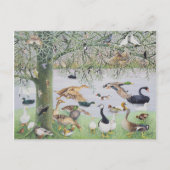 Die ungerade Ente Postkarte (Vorderseite)