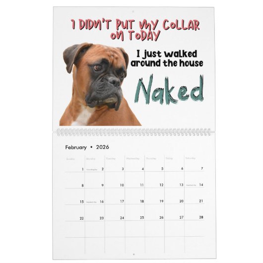 Die Unglaublich witzig Gedanken meines Boxers Kalender (Feb 2026)
