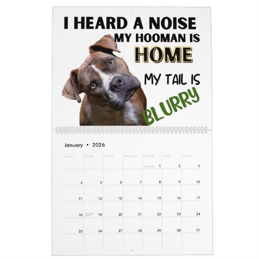 Die Unglaublich witzig Gedanken meines Boxers Kalender (Jan 2026)