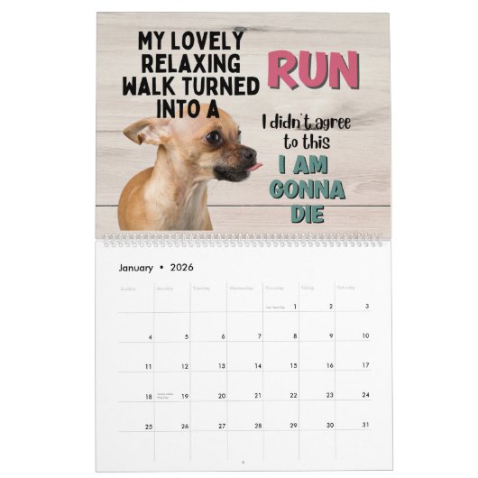 Die Unglaublich witzig Gedanken meines Chihuahua Kalender (Jan 2026)
