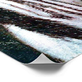 Die unglückliche Braut Poster (Ecke)