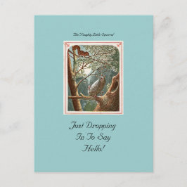 Die unheimlich kleine Eichhörnchen-Postkarte Postkarte