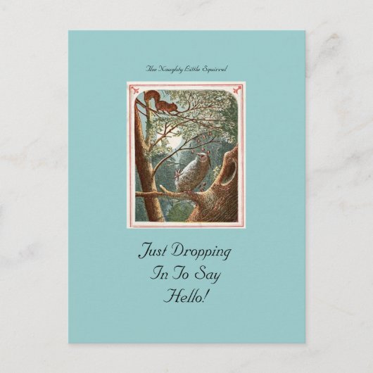 Die unheimlich kleine Eichhörnchen-Postkarte Postkarte (Vorderseite)