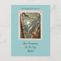 Die unheimlich kleine Eichhörnchen-Postkarte