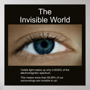 Die unsichtbare Welt Poster