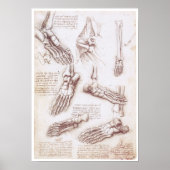 Die untere Extreme, Leonardo da Vinci Poster (Vorne)