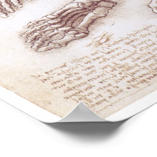 Die untere Extreme, Leonardo da Vinci Poster (Ecke)