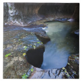 Die Untergrundbahnschlitzschlucht Fliese (Vorderseite)