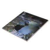 Die Untergrundbahnschlitzschlucht Fliese (Seite)