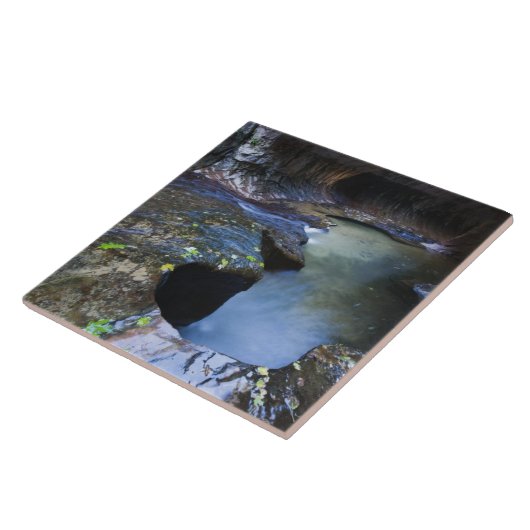 Die Untergrundbahnschlitzschlucht Fliese (Seite)