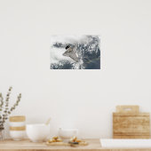 Die Unterseite des Space Shuttles Discovery Poster (Küche)