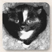 Die Untersetzer des stummen Beobachters (Vorderseite)