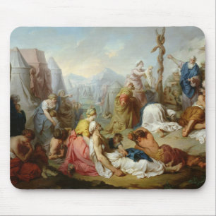 Die unverschämte Schlange Mousepad