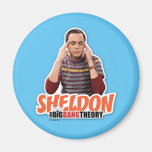 Die Urknalltheorie | Sheldon Magnet (Vorne)