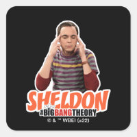 Die Urknalltheorie | Sheldon