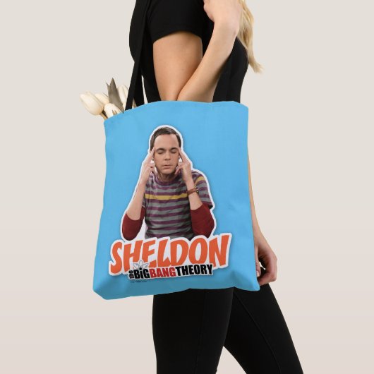 Die Urknalltheorie | Sheldon Tasche (Von Nahem)