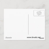 Die USA Sullivans (DD-537) Postkarte (Rückseite)