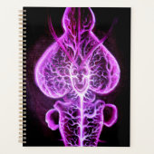 Die Vaskularisierung des Nervensystems in Roden Planer (Vorderseite)