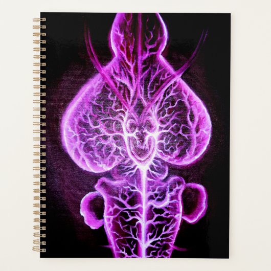 Die Vaskularisierung des Nervensystems in Roden Planer (Vorderseite)