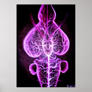 Die Vaskularisierung des Nervensystems in Roden Poster