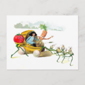 Die Vege-Männerräche Postkarte (Vorderseite)