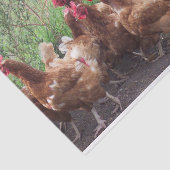 Die Verarbeitung (von Hühnern) Seidenpapier (Ausschnitt)