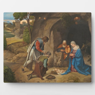 Die Verehrung der Hirten, 1505-10 Fotoplatte