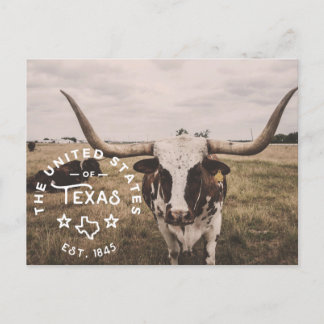 Die Vereinigten Staaten von Texas Postcard Postkarte