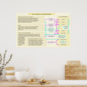 Die verfassungsrechtliche Struktur der Römischen R Poster (Küche)