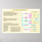 Die verfassungsrechtliche Struktur der Römischen R Poster (Vorne)