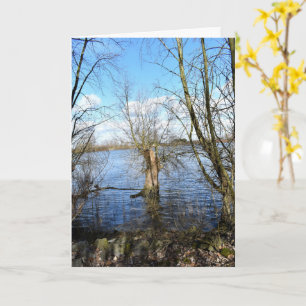 Die verlorenen Orte , Bäume am Ufer des Flusses Karte