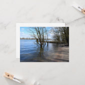 Die verlorenen Orte , Bäume am Ufer des Flusses Karte (Vorderseite/Rückseite Beispiel)