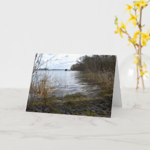 Die verlorenen Orte , Bäume am Ufer des Flusses Karte