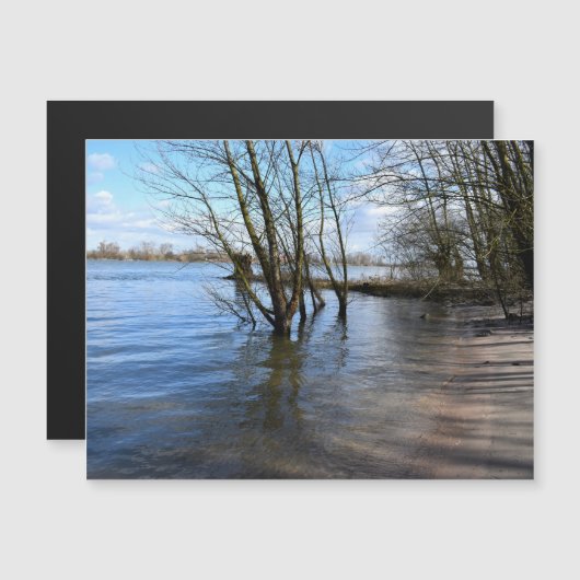 Die verlorenen Orte , Bäume am Ufer des Flusses Magnetkarte (Vorne/Hinten)