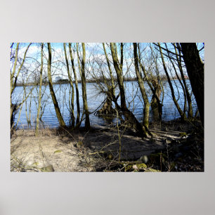 Die verlorenen Orte , Bäume am Ufer des Flusses Poster