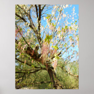 Die verlorenen Orte, die Meadowlands Natur, Frühli Poster