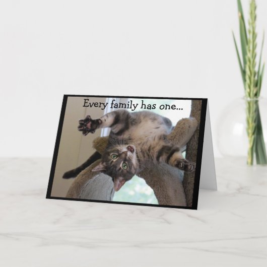 Die verrückte Katze Karte (Vorderseite)