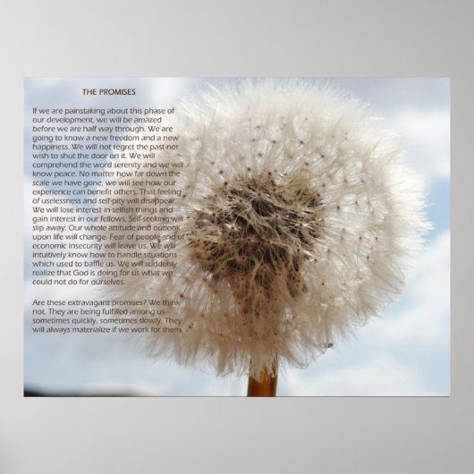 Die Versprechen Poster (Vorne)