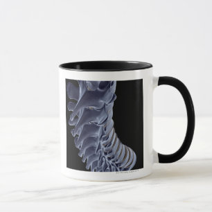 Die vertebrale Spalte Tasse