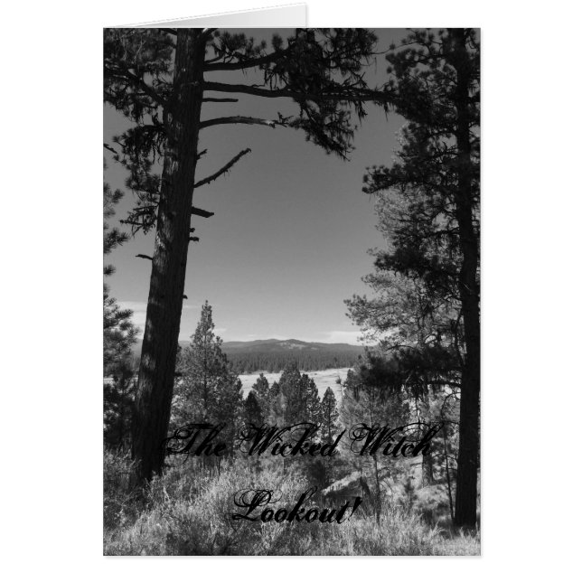 Die verworrene Hexe (Vorne)